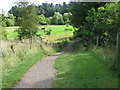 Path at the sheep paddocks in Dean Castle Country Park