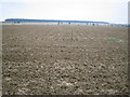 Ploughed wheat field