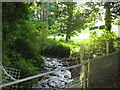 Afon Marchogion from the path footbridge