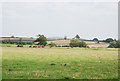 Cows on farm near Fifehead Magdalen