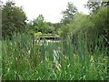 Ornamental pond at Plas Menai