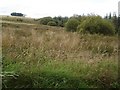 Fields and scrub west of Sarn Helen Roman Road