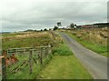 Road from Stonegarthside to Bushfield