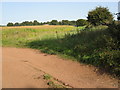 Farmland beside the B5415