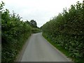 High hedges