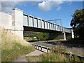 NT0212 : The new Harthope Viaduct by David Hamilton