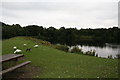 SD8632 : Rowley Lake, Burnley by Dr Neil Clifton