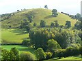 Hill beside Ty Mawr