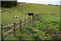 NO0228 : Pasture, South Ardittie by Mick Garratt