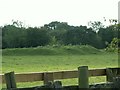 Humps surrounding disused quarry