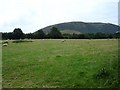 Pasture next to the recreation ground