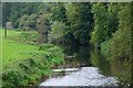 The River Bann near the Corbet (3)