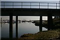 Under the pier