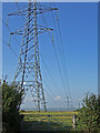 Pylons at Coldharbour