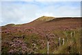 NR6517 : Spot Height 218 North of Loch Orodale. by Steve Partridge