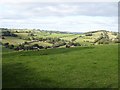 Upland pasture