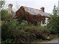 SS5714 : Derelict cottage on Beaford Moor by Derek Harper