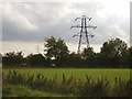 TM4094 : Electricity pylons close to Grove Farm by Helen Steed