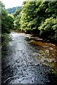 SK2474 : River Derwent at Calver by Roger Temple