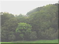 Fferm Pen-y-bryn from the Glasgwm road