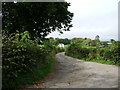 The road to Shatton Lodge