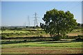 Fields viewed from Lower Foxhanger