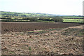 Warbstow: ploughed field