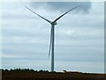 Wind Turbine near Upperton