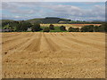 Straw awaiting baling, near Fowlis