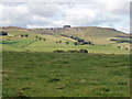 Grass fields at Balshando