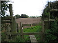 Footpath in Haddon Lane