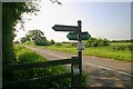 Bridleway near Peacehaven farm