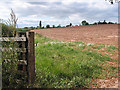 Farmland between Foy and Ingestone