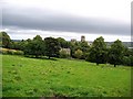 Bellasis Field above Durham School