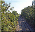 The Railway Line to Goxhill