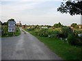 Chesterton allotments