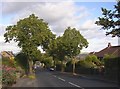 Kaye Lane, Almondbury