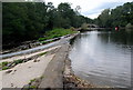 SK2475 : Weir on the river Derwent by Roger Temple