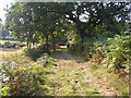 Footpath near B4295 near Dan-y-lan East of Pen Clawdd