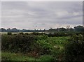 Farmland at Hall Farm, Griston