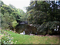 SJ0712 : River Vyrnwy below Dolanog by Oliver Dixon