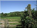 Sign for footpath to Craig Llwyn