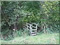 Footbridge across the Shothill Brook