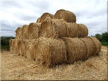 TF2867 : Bales of straw, Mareham on the Hill by Dave Hitchborne