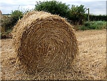 TF2867 : Straw bale, Mareham on the Hill by Dave Hitchborne