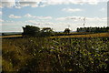 Farmland and hedgerows from A697