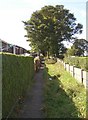 Path behind the houses, Sherburn Road, Rastrick