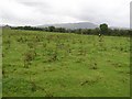 Luney Townland