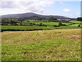 Killynumber Townland