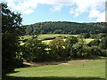 Country view from the garden of the Three Horseshoes